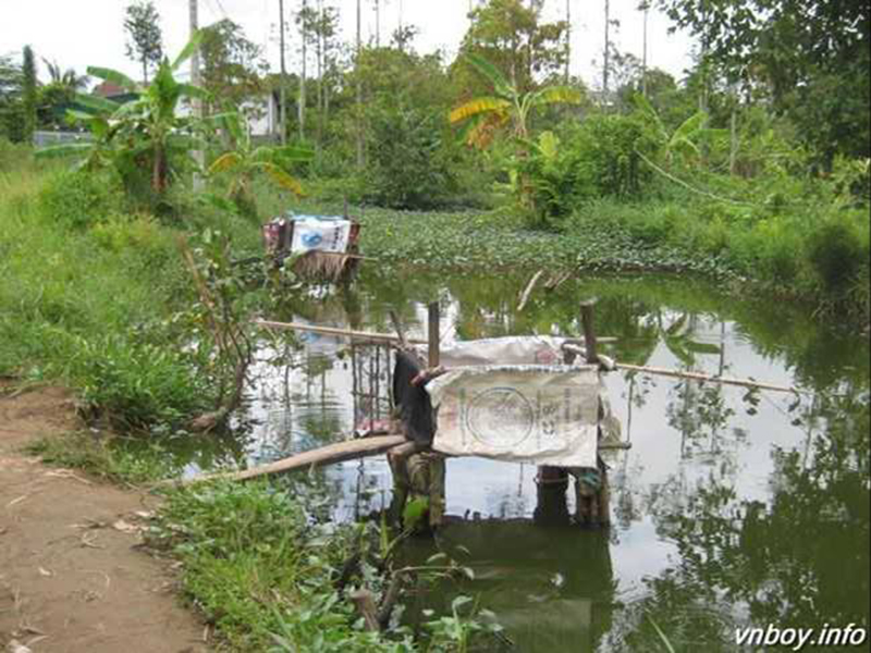 Ma nhà tiêu